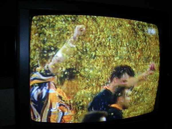 The Champions- Wests Tigers