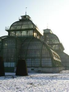 Giant greenhouse near the Schonbrunn