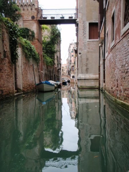 Ivy canal