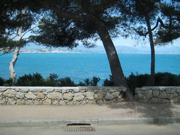 View from the bus around Antibes