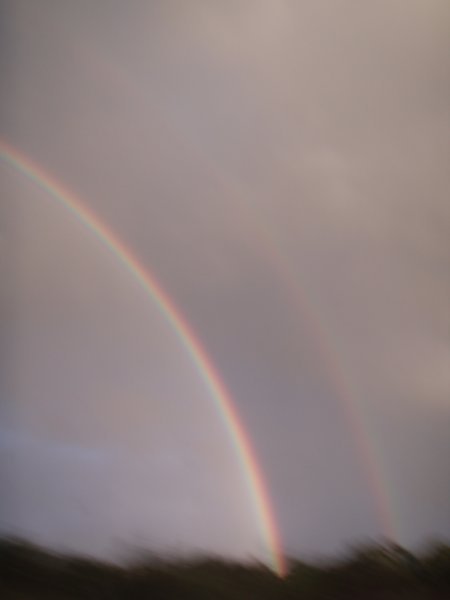 The AMAZING rainbow