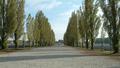 Central Avenue in Dachau.