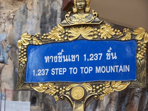 1237 steps to the top