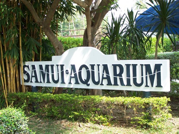 The Samuie Aquarium