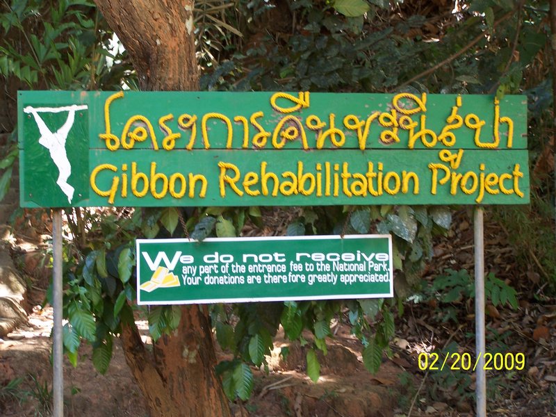 Gibbon Rehabilitation Center
