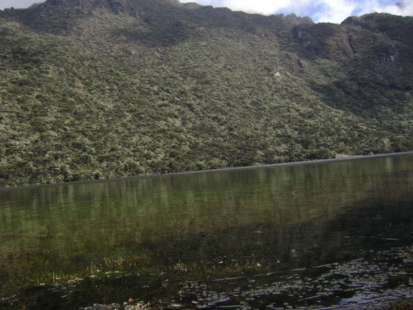 Laguna Negra 