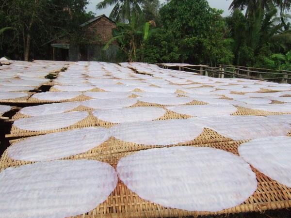 Rice Paper 'Factory'