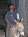 Ali's Valentine's Day Donkey Ride