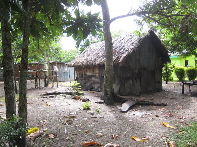 Vanuatu 18
