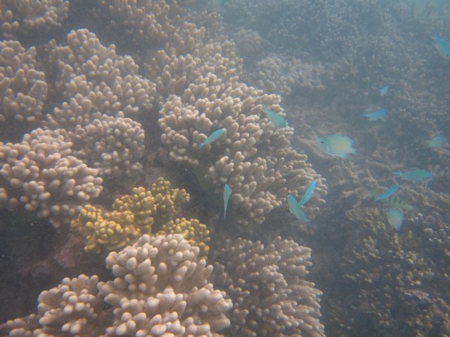 Vanuatu 42