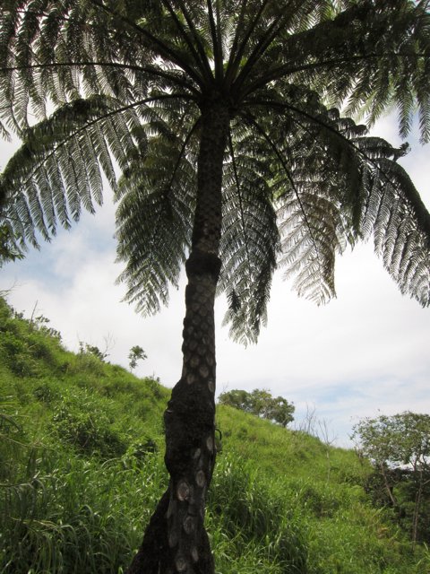Vanuatu 72