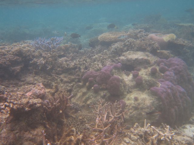 Vanuatu 129