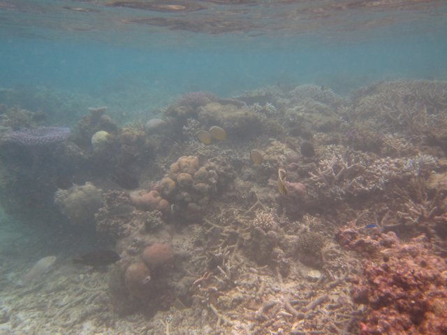 Vanuatu 135