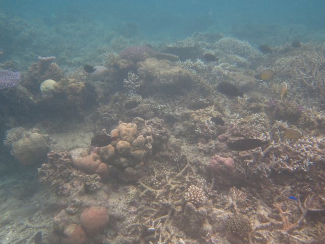 Vanuatu 136