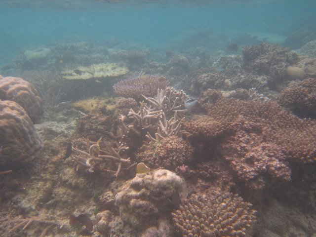 Vanuatu 138