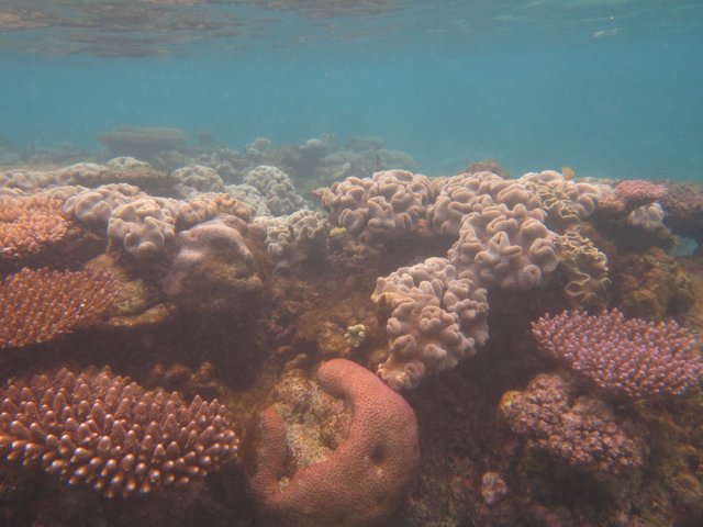 Vanuatu 140