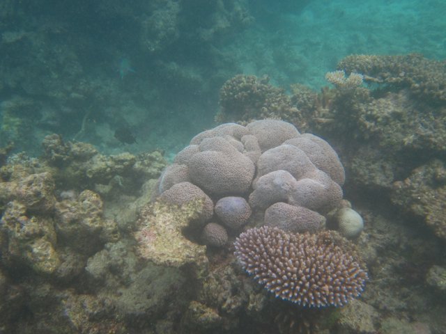 Vanuatu 146