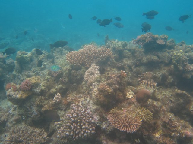 Vanuatu 147