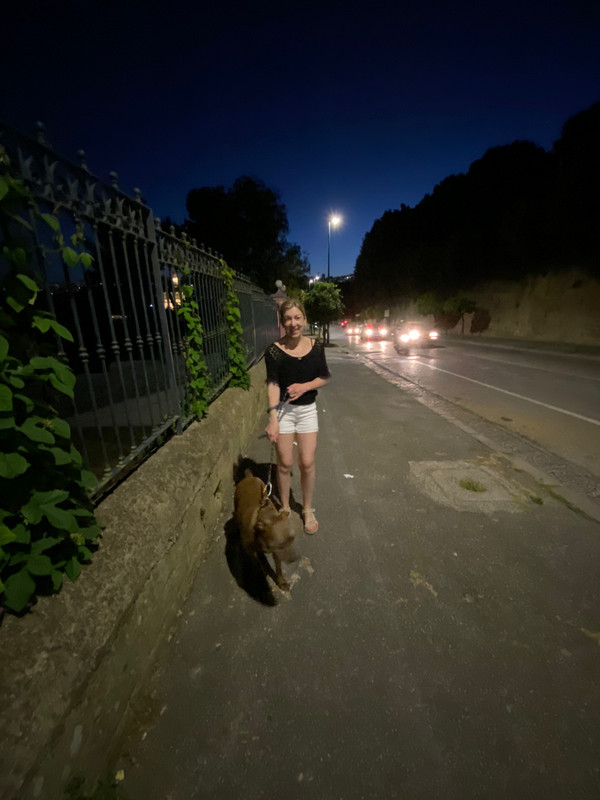 Traveling with a Dog in Italy