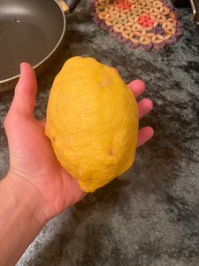 Huge Lemons