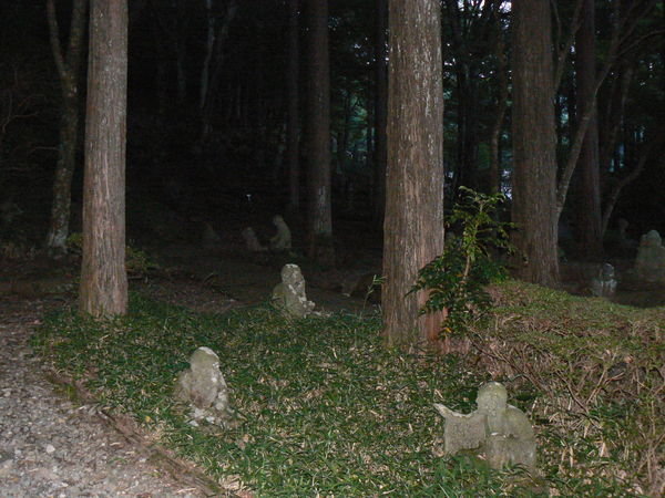 Hakone - Buddhist statues at night