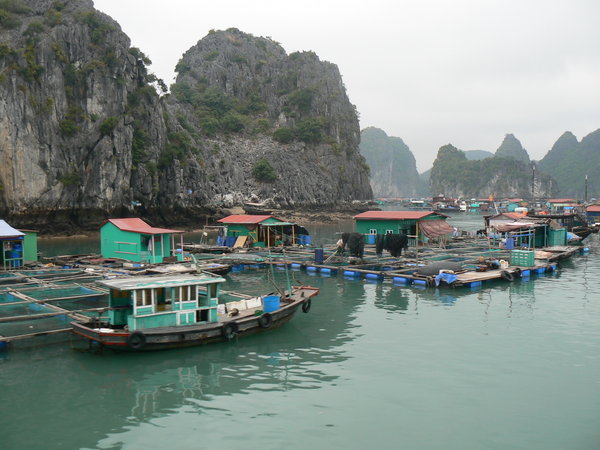 Halong Bay - Fishing village