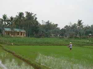 My Lai Village
