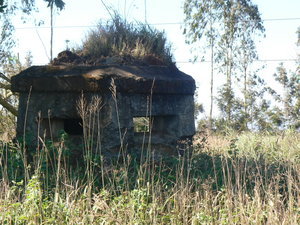 Tour to Dalat - old bunker