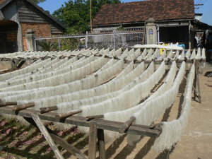 Tour to Dalat - Rice noodles drying in the sun