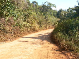 Tour to Dalat - Ho Chi Minh trail