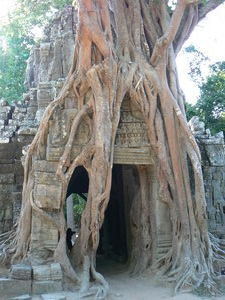 Temples of Angkor   
