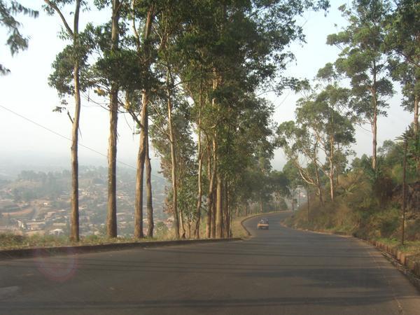 Road into Bamenda