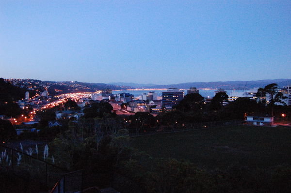 Wellington at Night!