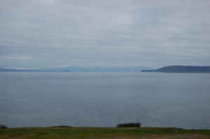 View From Our Hostel in Plimmerton