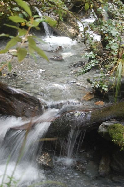 Mountain Stream in the Rainforest