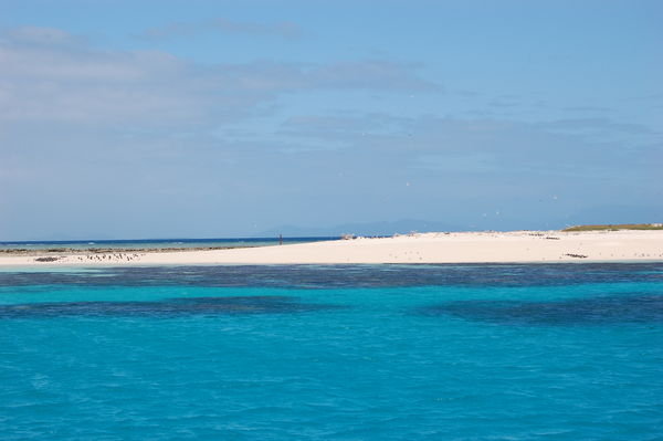 Michelmas Cay