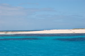 Michelmas Cay