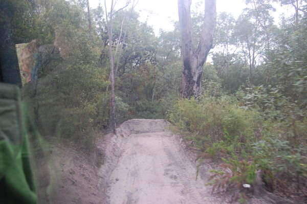 Roads on Fraser Island