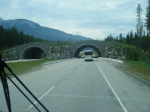 Canada- Highway from Banff heading toward Kelowna