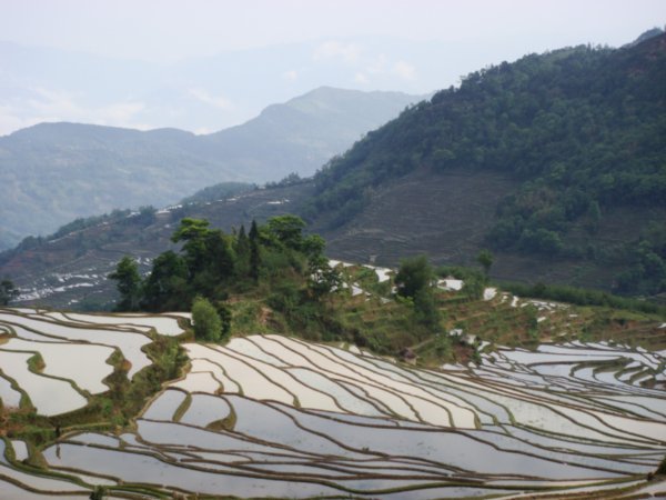 Valleys of rice fields