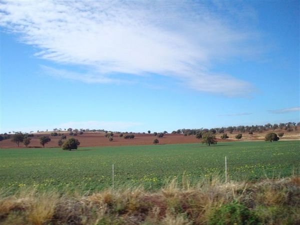 Dubbo to Forbes