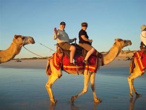Camel ride at sunset along Cable Beach Broome
