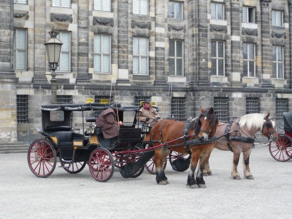 Horse Drawn Buggy in Dam Square
