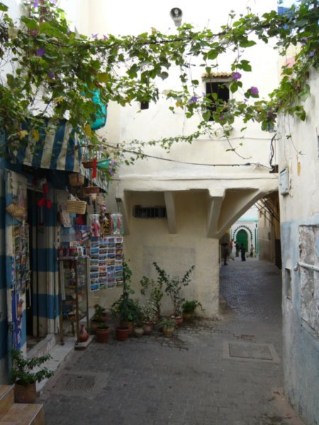 Inside & The Streets of the Medina