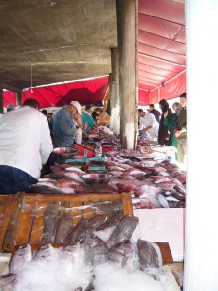 Fish Market - Tangier