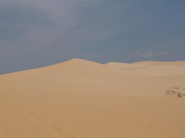At The White Sand Dunes