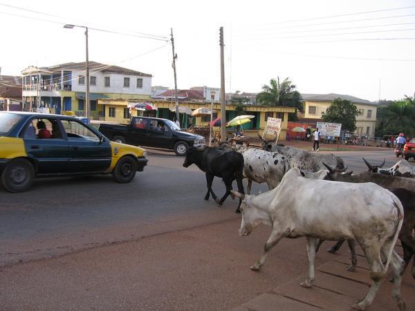 Gridlock in Kumasi