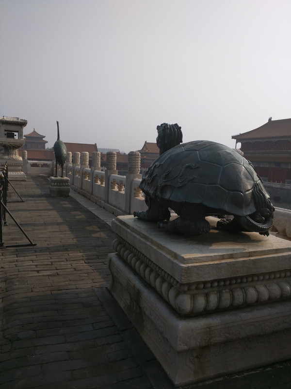 A turtle guarding the Forbidden City