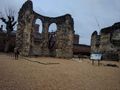 Abbey ruins, Reading