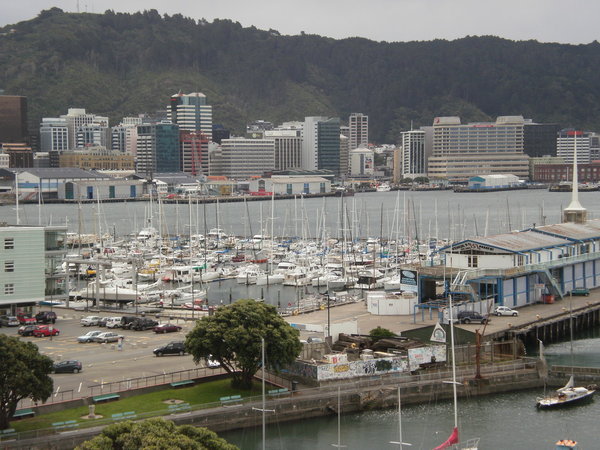 The view from our hotel over Oriental Bay